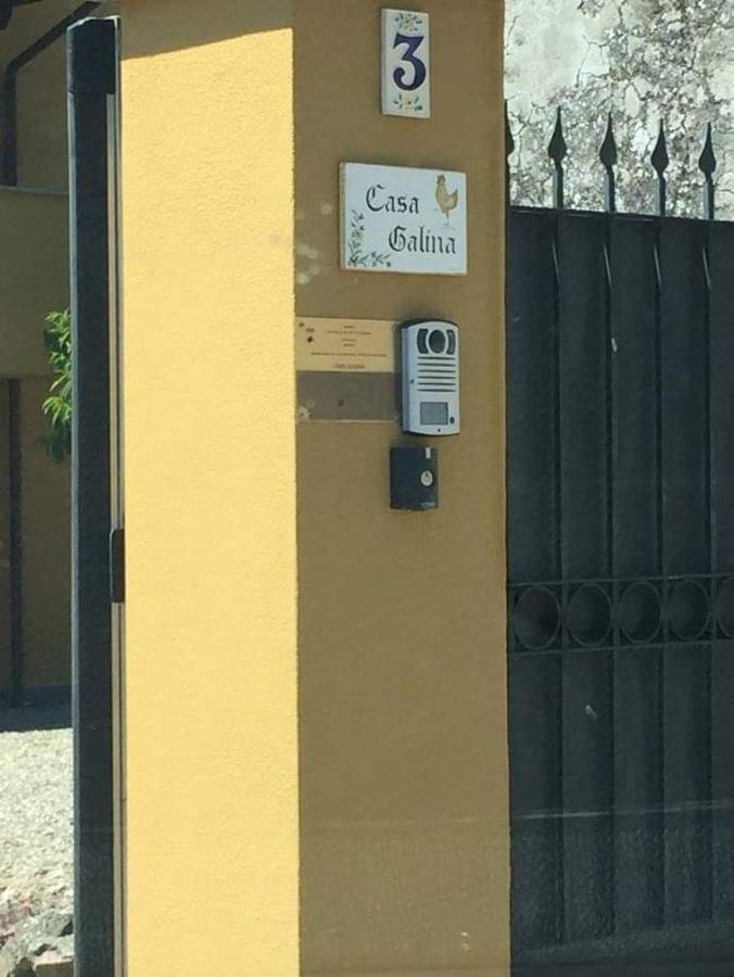 Villa Casa Galina Ciggiano Exterior foto